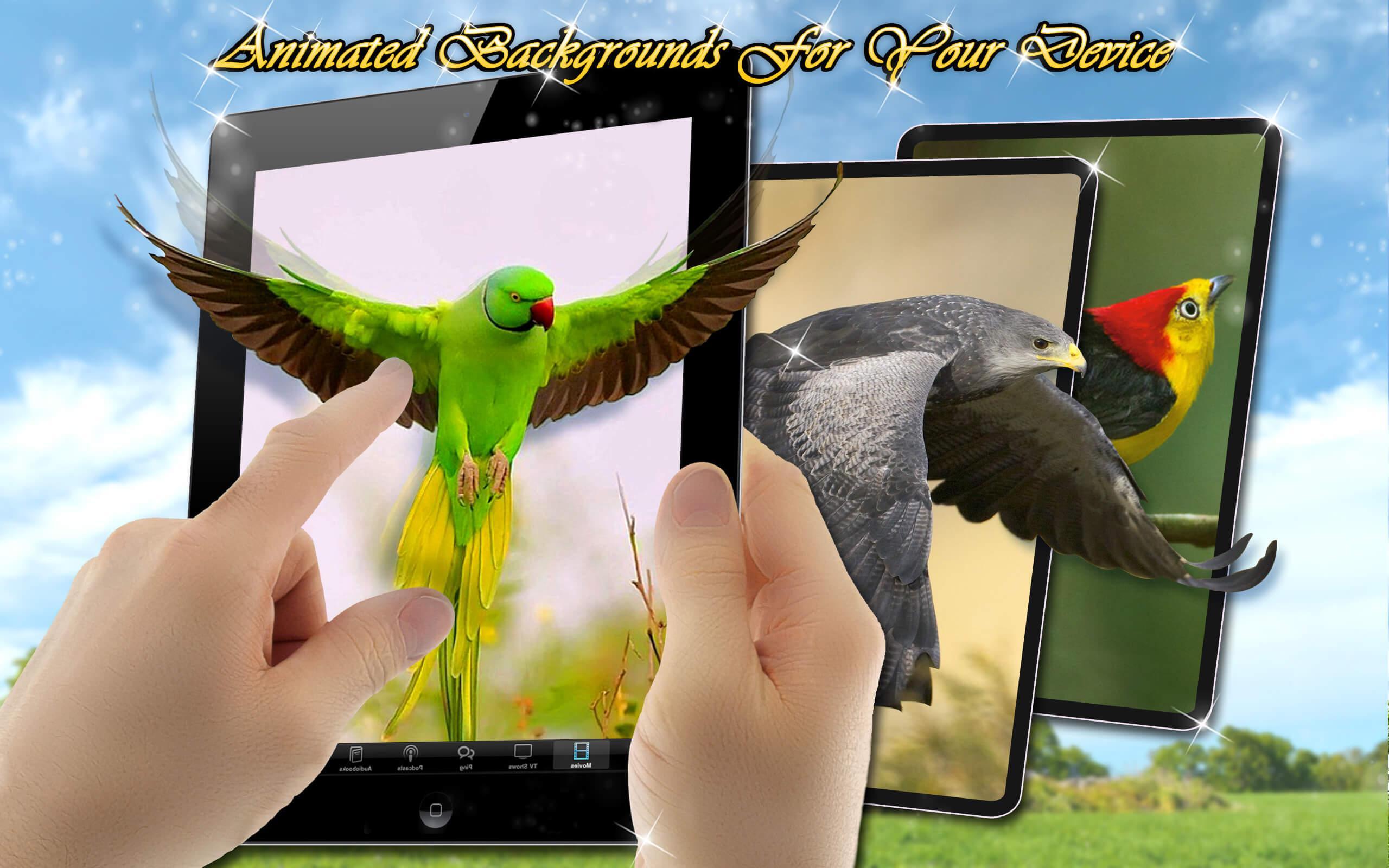 Wallpaper Suara Burung Hidup Gambar Animasi For Android Apk