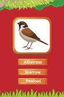 Birds name A-Z Ekran Görüntüsü 2