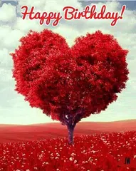 Birthday Gift Flowers APK download