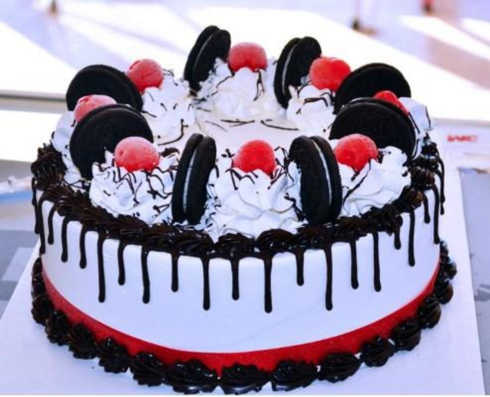 Birthday Cake Lucu For Android APK Download