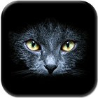 Black Cats Live Wallpaper icon