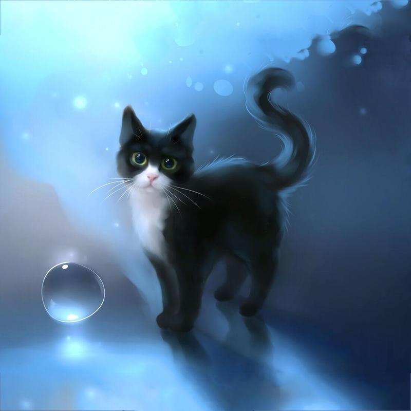 Black Cats Live Wallpaper for Android - APK Download