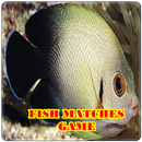 APK Fish Game-Black Angel Fish Matches Game