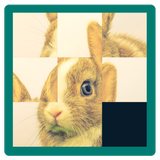 Animals Pictures Puzzle Best icône