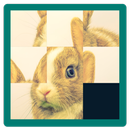 Animals Pictures Puzzle Best APK