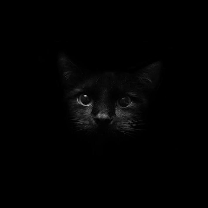 Black Live Wallpaper for Android - APK Download