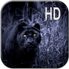 Schwarzer Panther Hintergrund Zeichen