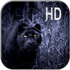 ikon Panther Hitam Gambar Animasi