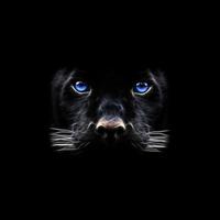 Schwarzer Panther Hintergrund Screenshot 2