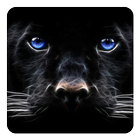 Schwarzer Panther Zeichen