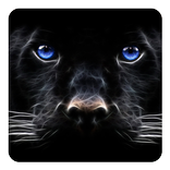 Black Panther Live Wallpaper