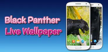 Black Panther Live Wallpaper