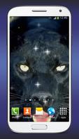 Panther Live Hintergrund Plakat