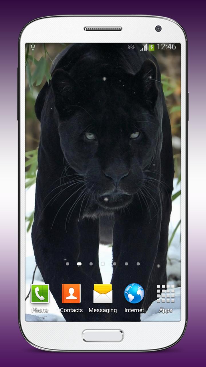  Black  Panther  Live  Wallpaper  for Android  APK Download