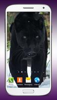 النمر الأسود خلفيات حية تصوير الشاشة 1
