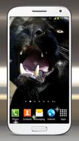 النمر الأسود خلفيات حية تصوير الشاشة 3
