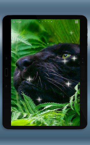 無料で ブラックパンサーライブ壁紙 アプリの最新版 Apk3 7をダウンロードー Android用 ブラックパンサーライブ壁紙 Apk の最新バージョンをダウンロード Apkfab Com Jp