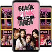 Black Pink Wallpapers KPOP Fans