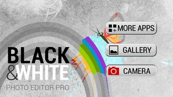 Zwart en Wit Foto Editor-Raam-poster