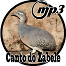 Canto do Zabele mp3-APK