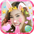 Cat face Camera Filters Photos