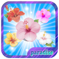 Blossom Paradise