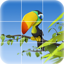 Parrot Puzzle Pro APK