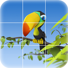 Parrot Puzzle ikona
