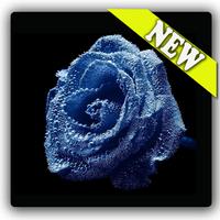 3d blue rose theme Ekran Görüntüsü 1