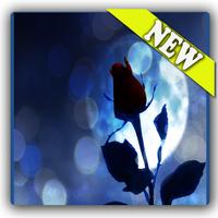 3d blue rose theme Screenshot 2