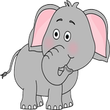 Animal Names