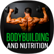 Bodybuilding Nutrition Guide