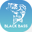 Black Bass aplikacja