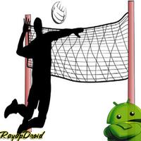 Best Volleyball Playing Strategy اسکرین شاٹ 1