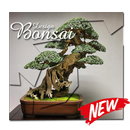 Elegant Bonsai Design APK