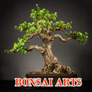 Bonsai Arts APK