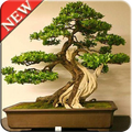 Desain Bonsai