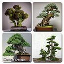 Diseño de Bonsai APK