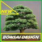 Ide Bonsai Styling Tree Cool icône