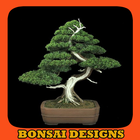 Bonsai Designs icône