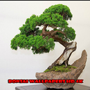 Bonsai Wallpapers HD 4K APK