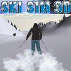 Ski Sim 3D icône