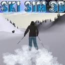 APK Ski Sim 3D