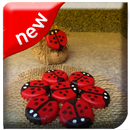 Bottles Cap Crafts Ideas APK