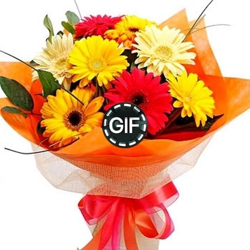 Flowers Bouquets Animated Images Gif