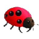 Angry Insects APK