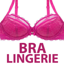 Latest Bra & Panties Designs - Lingerie Styles APK