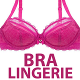 Latest Bra & Panties Designs - Lingerie Styles icône