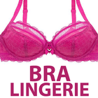 Latest Bra & Panties Designs - Lingerie Styles 图标