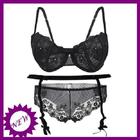 Bra and Panties Designs আইকন